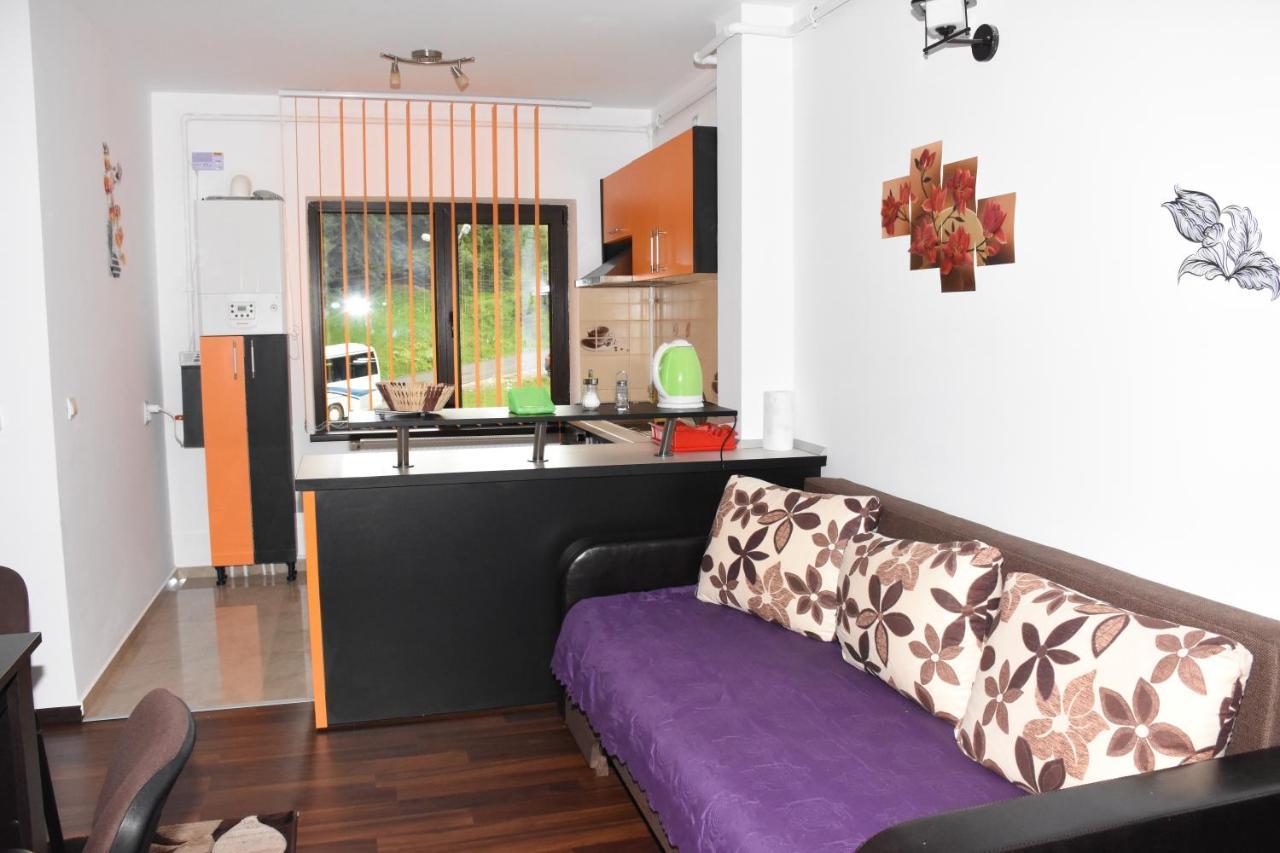 Hotel Apartament Eldya Comfort&Suites Predeal Dış mekan fotoğraf