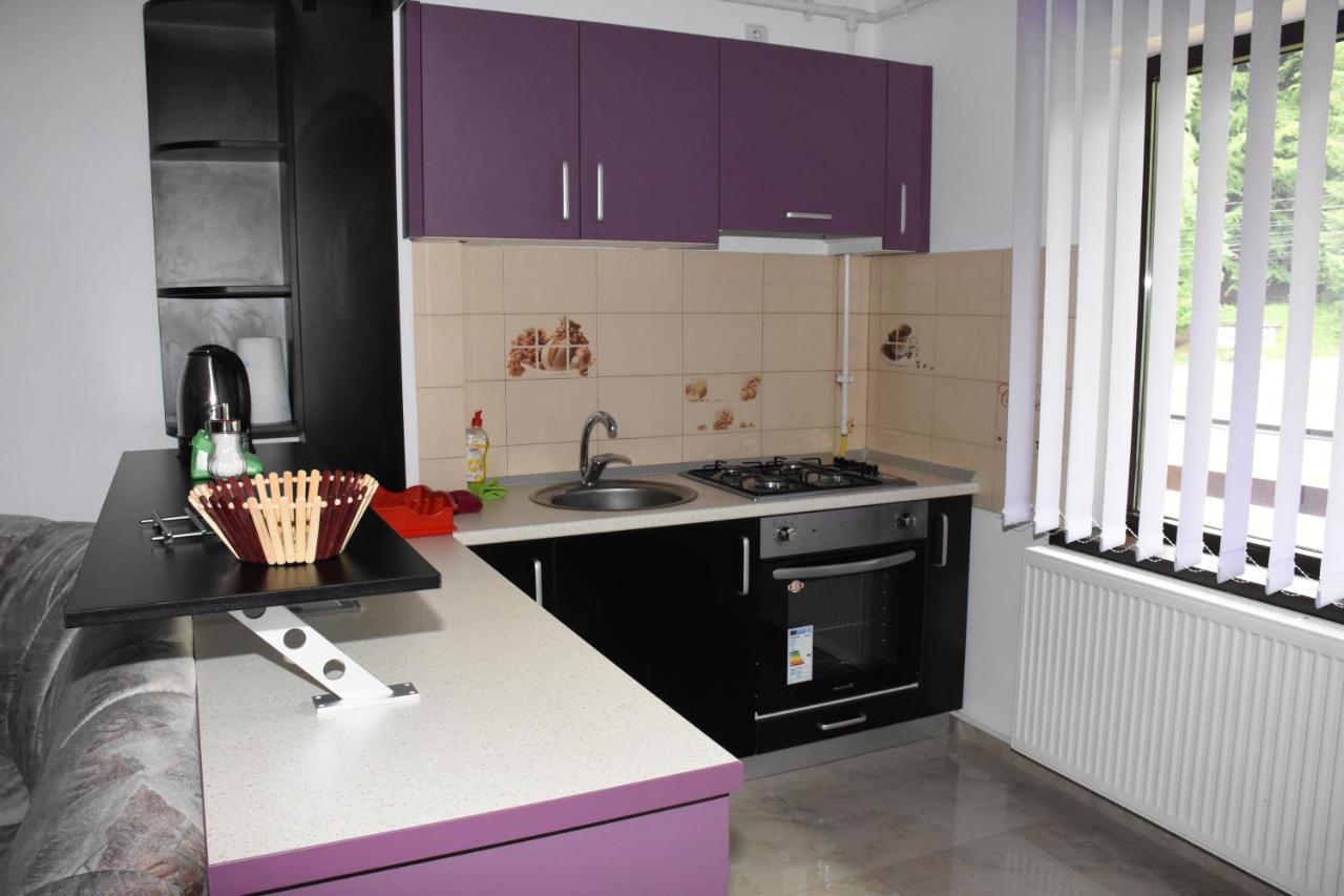 Hotel Apartament Eldya Comfort&Suites Predeal Dış mekan fotoğraf